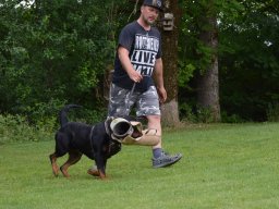 01.07.2023 offenes training 22